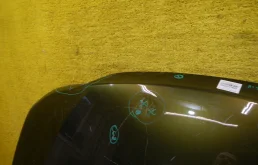 Капот для Renault Duster 2020 года на фотографиях