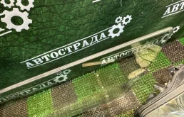 Стекло двери переднее левое для Lexus RX 2009 года на фотографиях