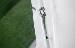 Бампер для Lexus RX 2013 года на фотографиях