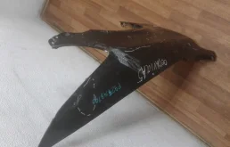 Крылья для Skoda Octavia 2012 года на фотографиях