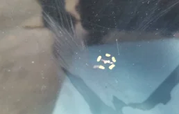 Дверь передняя левая для Mercedes-Benz S class 2008 года на фотографиях