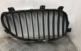 Решетка радиатора для BMW 5er 2009 года на фотографиях