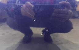 Дверь передняя левая для Volkswagen Passat 2001 года на фотографиях