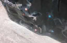 Крышка багажника для Toyota RAV4 2012 года на фотографиях