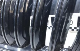 Молдинг решетки радиатора для Skoda Octavia 2018 года на фотографиях