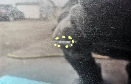 Дверь передняя левая для Mercedes-Benz S class 2008 года на фотографиях