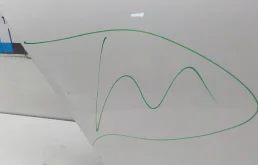 Дверь задняя правая для BMW 5er 2014 года на фотографиях