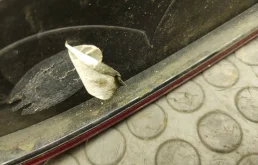 Фонарь левый для BMW 5er 2001 года на фотографиях