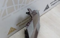 Крылья для Volkswagen Caddy 2007 года на фотографиях