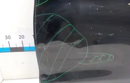 Дверь задняя левая для BMW X3 2013 года на фотографиях