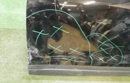 Дверь передняя левая для Volkswagen Touareg 2014 года на фотографиях