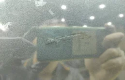 Двери для Mercedes-Benz S class 1996 года на фотографиях