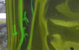 Дверь багажника для Renault Duster 2018 года на фотографиях