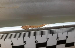 Дверь задняя левая для Mercedes-Benz S class 1996 года на фотографиях