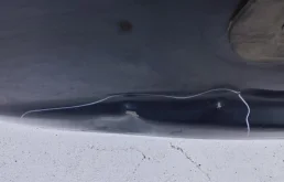 Крышка багажника для Nissan Juke 2020 года на фотографиях