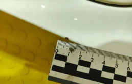 Двери для Mercedes-Benz S class 2000 года на фотографиях