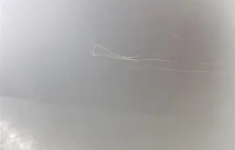 Дверь передняя левая для Land Rover Discovery 2004 года на фотографиях