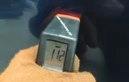 Дверь передняя правая для Volkswagen Passat 2000 года на фотографиях