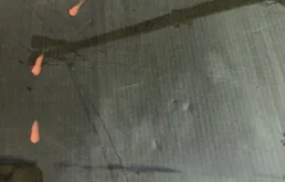 Стекло двери переднее левое для Volkswagen Tiguan 2021 года на фотографиях