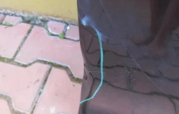 Дверь передняя правая для Volkswagen Jetta 2009 года на фотографиях