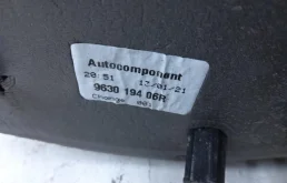 Зеркало боковое правое для Renault Logan 2018 года на фотографиях