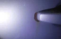 Двери для Opel Astra 2002 года на фотографиях