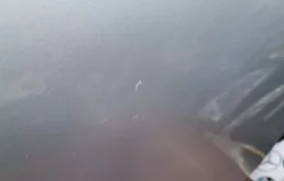 Дверь передняя левая для BMW 3er 2006 года на фотографиях