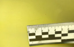 Двери для Mercedes-Benz C class 2004 года на фотографиях